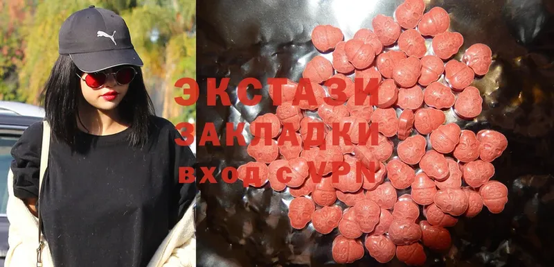 Ecstasy TESLA  гидра сайт  Заводоуковск 